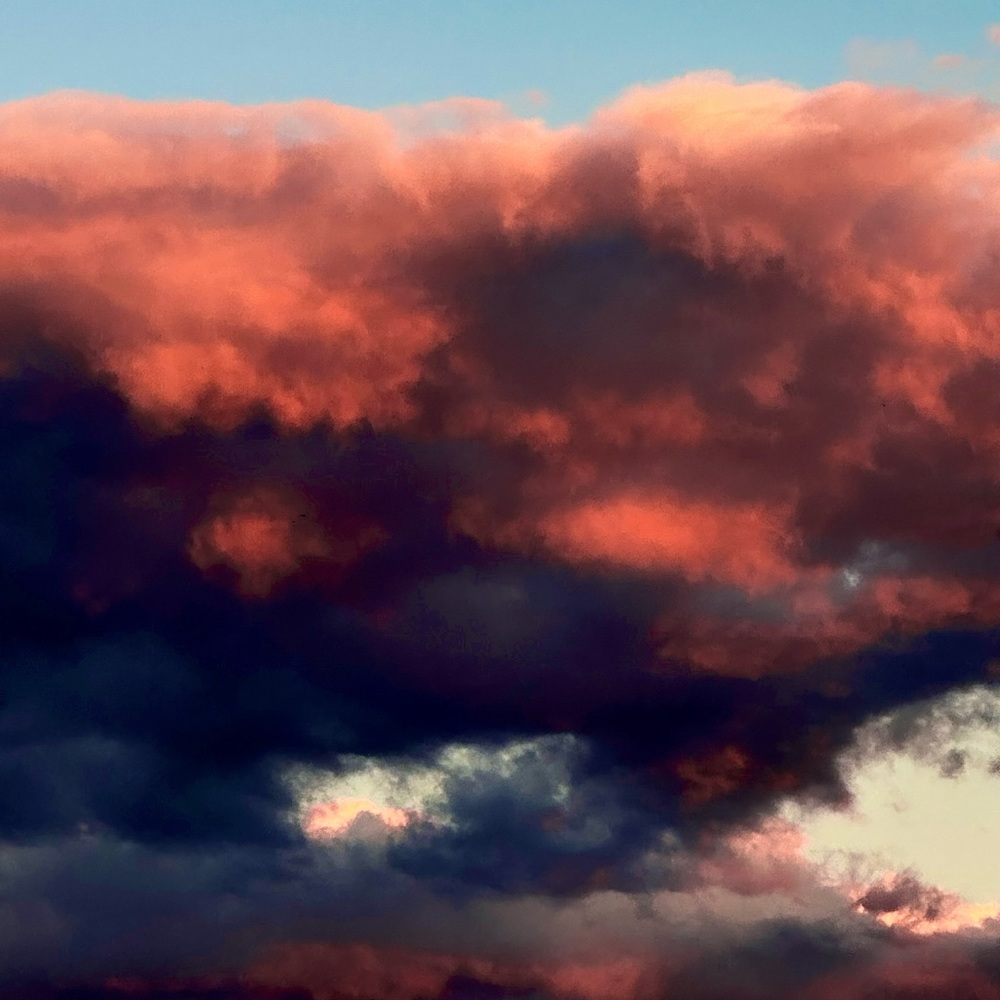 Meet your Posher, Jarizza